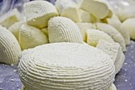 Рецепты приготовления сыра в домашних условиях, используя молокосвертывающий ферментный препарат СГ-50 (МЗСФ)