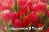 Ассоциация "ЖИВЫЕ ЗАКВАСКИ" поздравляет всех женщин с праздником 8 марта!